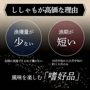 本場くしろ産 ししゃもメス30尾入り！ 本ししゃも 魚 ししゃも 魚好きのメス プチプチたまごのメス 魚介 グルメ シシャモ 北海道産 国産 魚 魚介 海の幸 F5F-0136