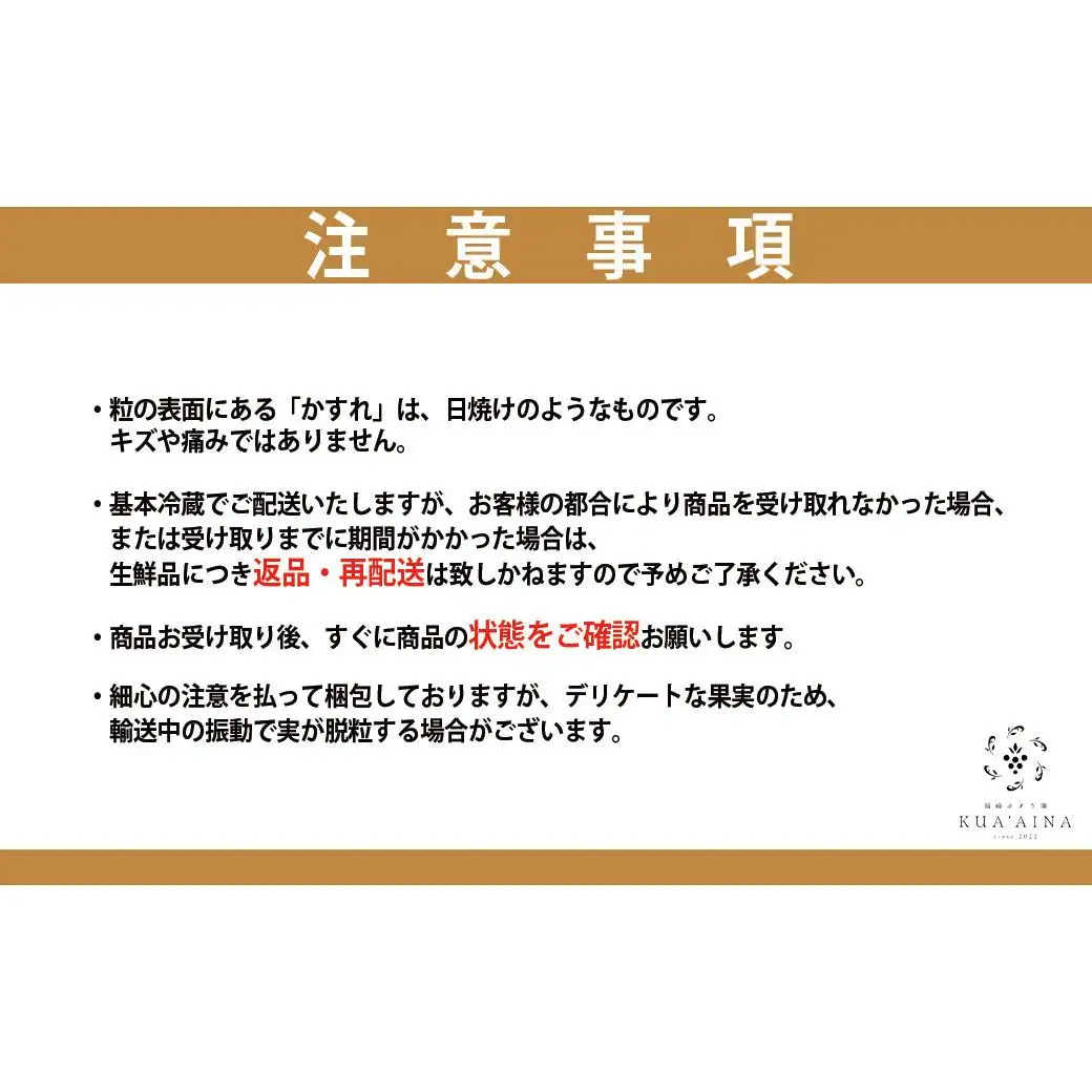 【兵庫県福崎産】「福崎から福咲を」 朝採れ ご家庭用 シャインマスカット ２kg 詰め合わせセット 福崎ぶどう園 ８月下旬から順次発送 ぶどう 数量限定