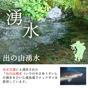 皇帝の涙2種食べ比べ（オシェトラ・ホワイトスタージョン）国産チョウザメキャビア