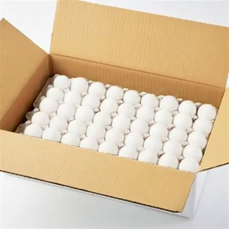 大分生まれのAW飼い「豊の米卵」10kg(白卵)【配送不可地域：離島】【1714035】