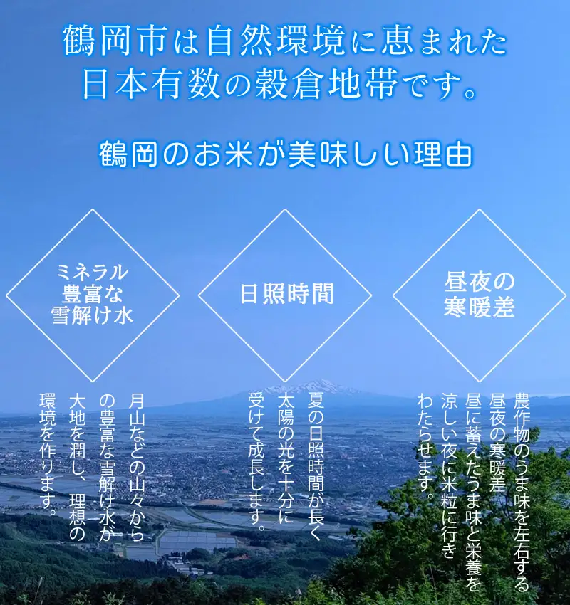 【令和7年産】 山形はえぬき 精米 20kg (5kg×4袋)　山形県鶴岡市産　株式会社菜な八（鶴岡ファーマーズ）