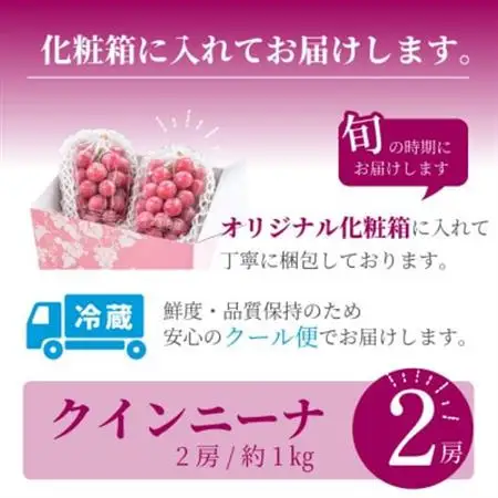 【数量限定】希少!赤い宝石　『クイーンニーナ』　2房　山梨のぶどう　クインニーナ【配送不可地域：離島・沖縄県】【1041056】