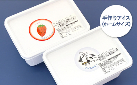 【大容量！おやつにピッタリ♪】手作りアイス詰め合わせセット【佐賀西部コロニー白石作業所】 佐賀県 白石 [ICL003]
