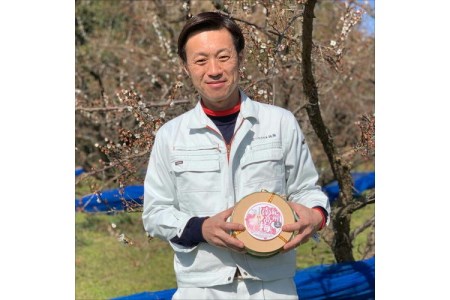 【0523-4】贈答 紀州南高梅 桃風味梅木樽入り 1kg