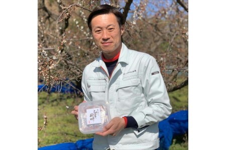 【0528-4】紀州南高梅 はちみつ梅500g、しそ梅500g 食べ比べセット
