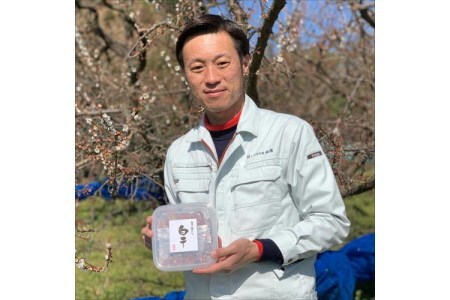 【0530-4】紀州南高梅 はちみつ梅500g、白干梅500g 食べ比べセット