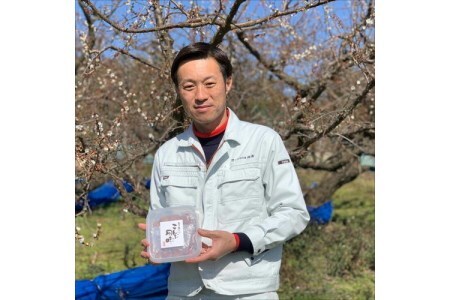 【0531-4】紀州南高梅 はちみつ梅500g、こんぶ風味梅500g 食べ比べセット