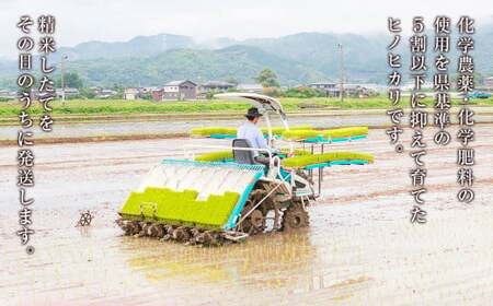 【2025年10月下旬より順次発送開始】野上耕作舎 野上米ヒノヒカリ 白米3kg ひのひかり 白米 米 お米 ご飯 国産 九州産 福岡県 うきは市