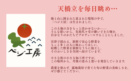 ドライフルーツ「苺とわたし」（2箱入り）| お菓子 おかし おやつ ドライフルーツ ギフト