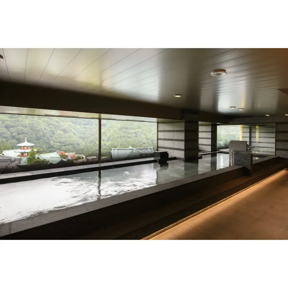 富士屋ホテル【日帰り/ランチ付き２名様分】ビーフカレーと源泉100％温泉付お部屋休憩＋スパ＋天然温泉プール ＜8時間ステイ＞