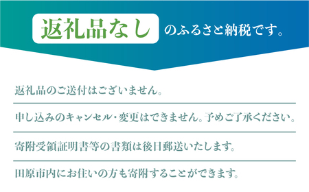 《返礼品なし》愛知県田原市への寄付 200,000円分 応援寄附金 応援 選べる 金額 使い道 愛知県 田原市 渥美半島