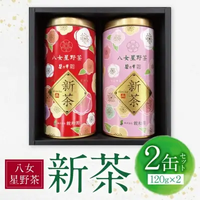 Y26-18R01 【母の日】新茶 八女星野茶 120g×2本