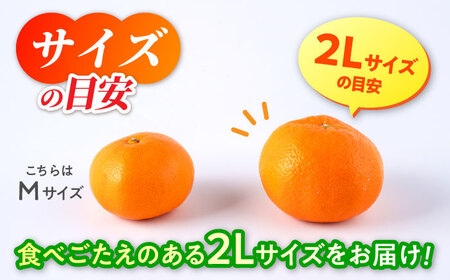 【先行予約】 旨み凝縮！ 飛龍台木 白川 温州 みかん 2Lサイズ 約5kg 山鹿市産　【小春農園】[ZBN010]