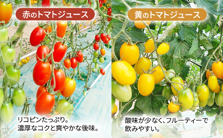 糖度平均9～10度！十勝 幕別産 ミニトマトジュース「自慢のトマトでつくりました。」黄180ml×6本［北海道ホープランド農場］食塩無添加【 トマト ミニトマト 飲料 野菜ジュース リコピン 北海道 十勝 幕別 】