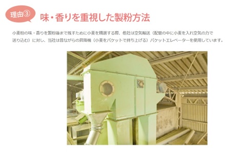 1226 岐阜県産準強力粉（タマイズミ１等粉）10kg