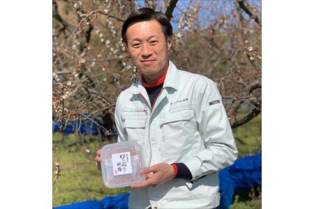 【0532-4】紀州南高梅 はちみつ梅500g、優梅500g 食べ比べセット