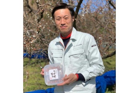 【0533-4】紀州南高梅 はちみつ梅500g、うす味梅500g 食べ比べセット