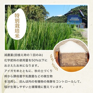 ＜定期便・総３回＞＜令和7年産＞佐田の郷の米 特別栽培米(計15kg)お米 白米 ごはん ヒノヒカリ ひのひかり ブランド米 常温 常温保存【211700700】【雅設置プロジェクト　佐田の郷の会】