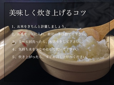 米 こしひかり 10kg 令和7年度産 特別栽培米 米