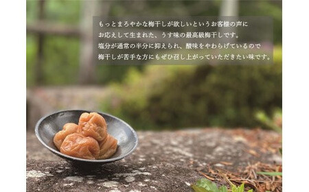 【贈答用】紀州南高梅 食べ比べセット 500g×2　（しそ風味・うす味）【inm900-4C】