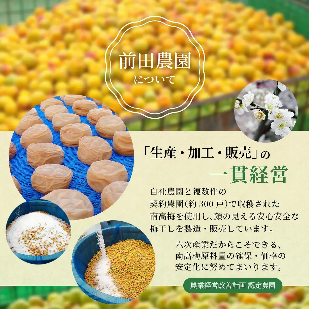  梅干し 大粒 200g 紀州南高梅しそ漬け 200g 塩分10％ 【mae007】