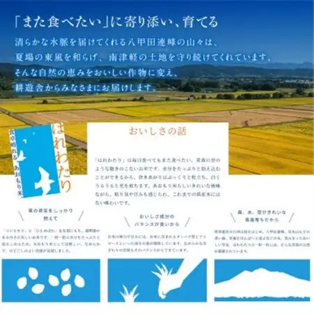 【先行予約受付】令和8年　青森県産はれわたり　玄米10kg　彩北米【配送不可地域：離島・沖縄県】【1714458】