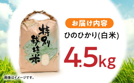 【R7年産】九州のこだわり「ひのひかり」白米 4.5kg / 米 こめ コメ お米 おこめ 白米 精米 白ご飯 ひのひかり ヒノヒカリ 長崎県産 / 諫早市 / 上島農産[AHAS014]