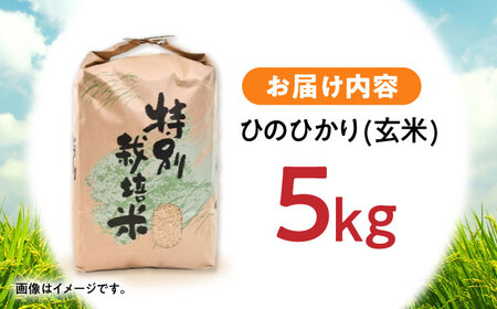 【R7年産】九州のこだわり「ひのひかり」玄米 5kg / 米 こめ お米 おこめ 玄米 げんまい ひのひかり ヒノヒカリ 長崎県産 / 諫早市 / 上島農産[AHAS015]