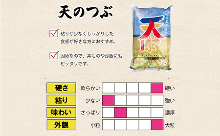 令和7年産 福島県郡山産 天のつぶ 5kg 精米 米 お米 白米 単一原料米 5キロ こめ コメ おこめ ご飯 ライス 福島県 郡山市産