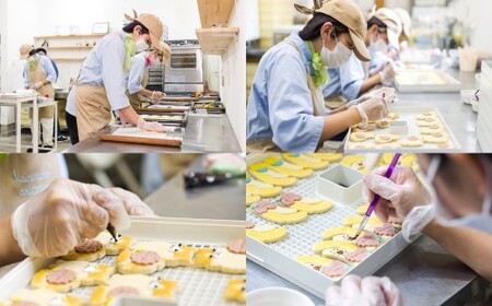 【卵不使用】【絶滅危惧種】 コアジサシ子育てセット クッキーアート ギフトセット クッキー 可愛い かわいい 焼き菓子 プレゼント 動物 どうぶつ 常温 鳥 野鳥 環境活動 三重県 桑名市