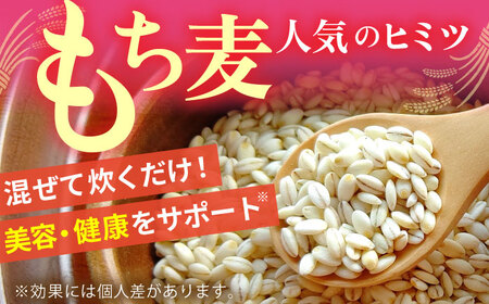 白米・もち麦セット（ さがびより3kg ・ キラリモチ 300g×2袋 ）【大塚米穀店】 麦 もち麦 米 精米[HBL094]