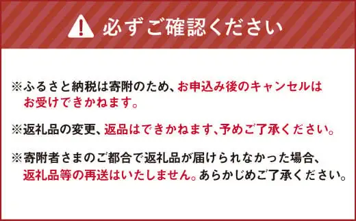 有機JAS認定「きたいろトマト」〈1.2kg×1箱〉【2026年7月下旬～9月下旬迄発送予定】 北海道北広島市