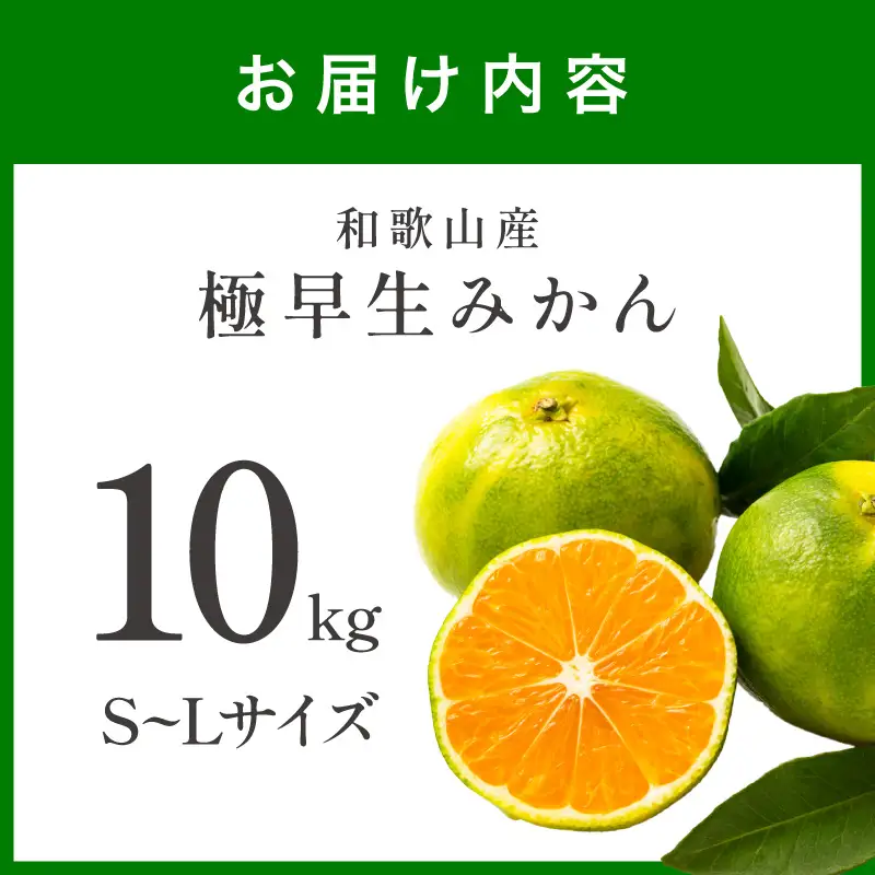 【0258-5】極早生みかん 10kg 和歌山産