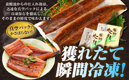 三河一色産うなぎ蒲焼 10尾（約1600g）・O072