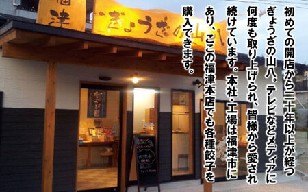 【山八】餃子バラエティーセット[H4309]