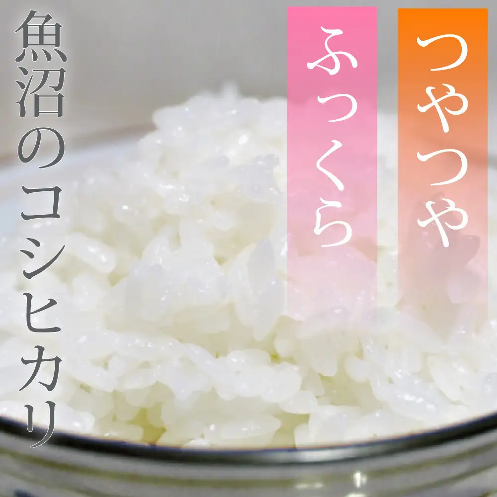 【定期便6回】令和7年産 新潟県 魚沼産 無洗米 コシヒカリ2kg 精米 一等米  天糧