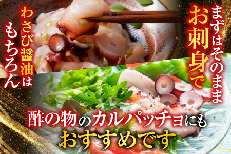 【北海道根室産】お刺身用たこ足2本(計2～2.5kg) C-30069