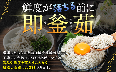 訳あり 釜揚げしらす 2kg 冷凍 愛知県南知多町 日間賀島