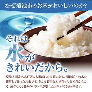 令和7年産 きくち棚田無洗米 10kg ひのひかり《30日以内に出荷予定(土日祝除く)》熊本県 菊池市 米 こめ ヒノヒカリ お米 ブランド米 単一原料米 菊池