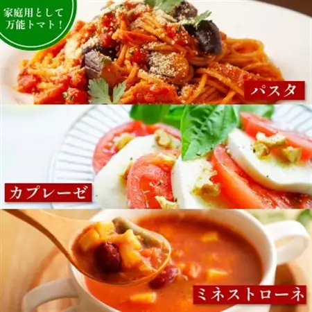 京都府産 トマト 約4kg(12～30個)産地直送【配送不可地域：離島】【1710056】