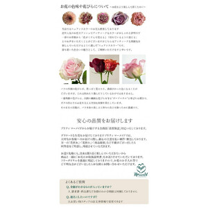 「シ・ベル」 誕生日祝い 結婚 ウエディング 送別 プレゼント 開店祝い 花 結婚祝い 季節 アレンジ フラワー 退職 発表会ギフト 結婚記念日 送料無料 記念日 お祝い