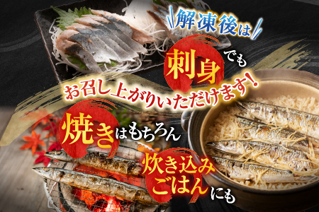 【北海道根室産】冷凍さんま30尾 B-36005