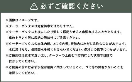 釣具のダイワのクーラーボックス PVトランクHD2 TSS3500 （ 容量：35リットル ） クーラーボックス ボックス ダイワ アウトドア レジャー フィッシング 釣り キャンプ バーベキュー