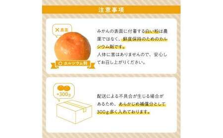 ZE6518_【2026年先行予約】【秀品】和歌山県産 有田みかん 約7kg (2S～Lサイズ混合)【まごころ手選別】