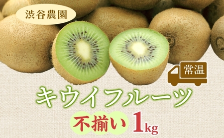 渋谷農園 キウイフルーツ(グリーン) 不揃い 1kg以上 訳あり キウイ グリーンキウイ フルーツ 栄養 ビタミンC 食物繊維 酵素 カリウム 葉酸 ビタミンE 低カロリー 果実 果物 お取り寄せ 送料無料 蓮田市