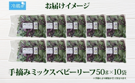 手摘み ミックスベビーリーフ 50g 10袋 ベビーリーフ 野菜 ヤサイ 旬の野菜 葉物野菜 生野菜 ハーブ 緑 彩り 柔らかい 手軽 サラダ サンドイッチ トッピング アクセント はーとふる農園 国産 冷蔵 送料無料 蓮田市 埼玉県
