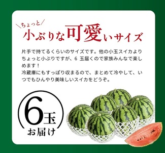 SA2886　山形県産 小玉スイカ 姫甘泉 「ルパン」　7kg以上(6玉入) 朝採り 農家直送