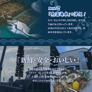 高田水産 冷凍かき 2kg（1kg×2袋）Lサイズ 牡蠣 便利 カキ