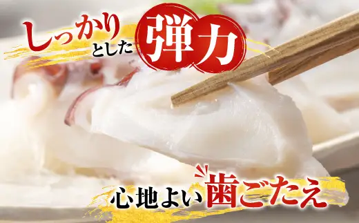 【北海道根室産】お刺身用たこ足2本(計2～2.5kg) C-70068