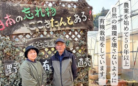 玉ねぎ 10kg / 玉ねぎ